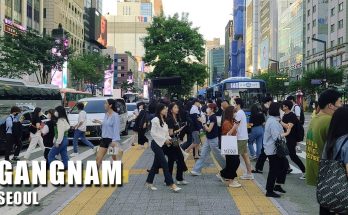 Things People Hate About GANGNAM TOURISM