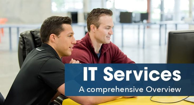 Scaling Up with IT Support: Meeting the Demands of Growth