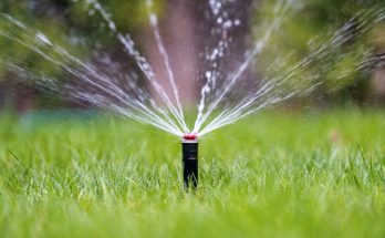 Thirsty Turf? Choose Our Expert Sprinkler System Installation