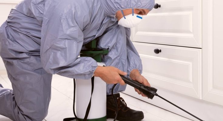 Swift and Effective Pest Control Service: Your Ultimate Solution